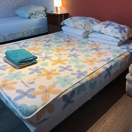 בית אירוח 住在巴黎 בונדי